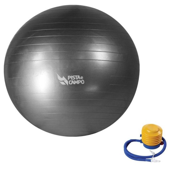 Bola de Ginástica Gym Ball Inflável Com Bomba 55cm - Cinza - Cinza Menor preço em Bola de Ginástica Gym Ball Inflável Com Bomba 55cm - Cinza - Cinza