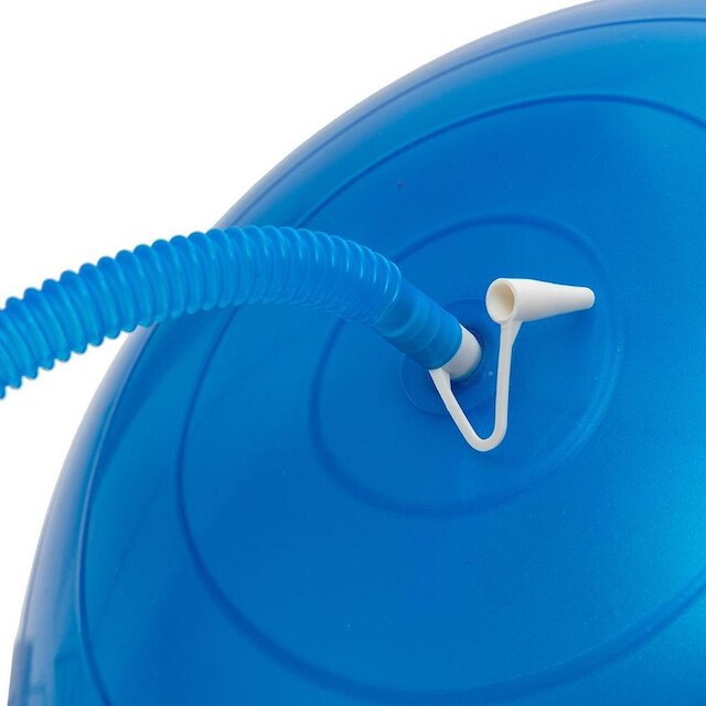 Bola de Pilates 75 cm Academia Treino Abdominal Alongamento Bola de Ginastica