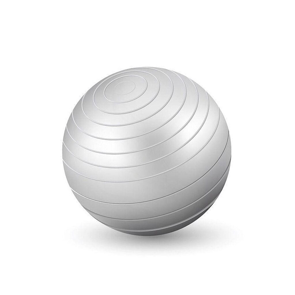 Bola Ginastica 65cm Western
