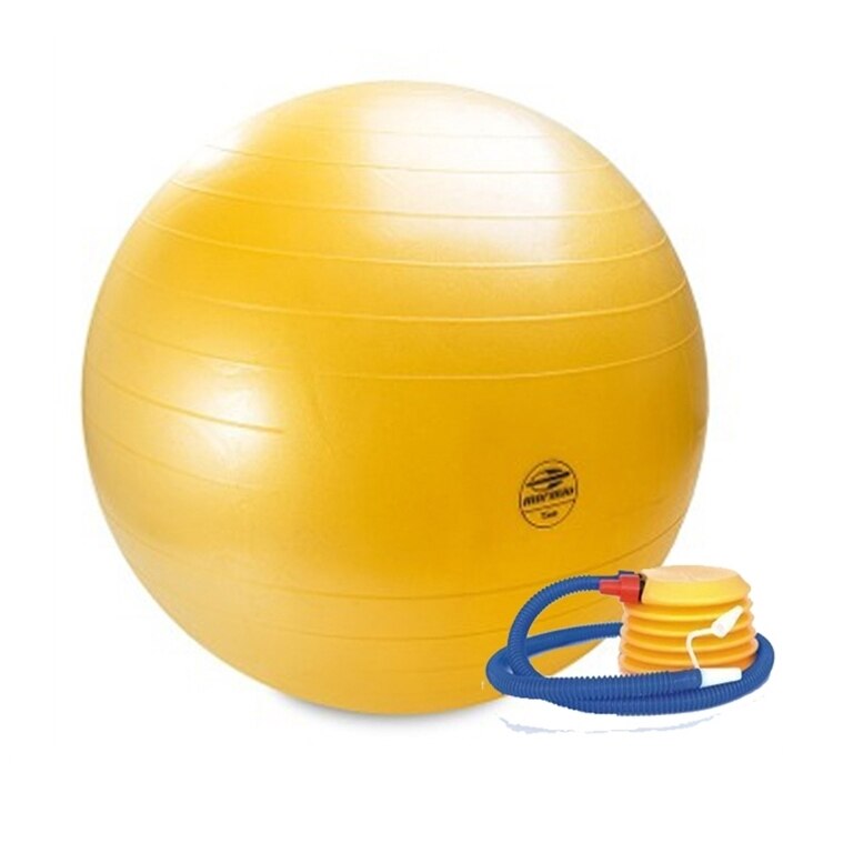 bola de pilates netshoes