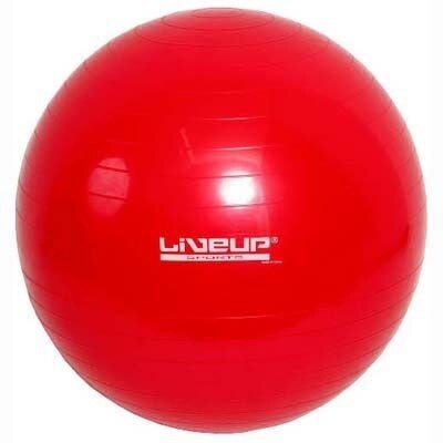netshoes bola pilates