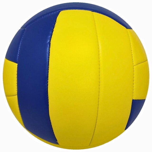 BOLA RAINHA VOLEI OFICIAL PRÓ 2.0 COM BOMBA DE AR