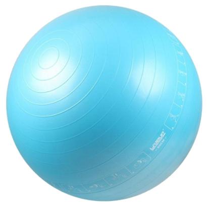 Bola de ginástica acte sports by cau saad 65 cm Implicito Luce Del Sole Molte Situazioni Pericolose Bola Ginastica 65 Cm Pregiudizio Stesso Trapunta