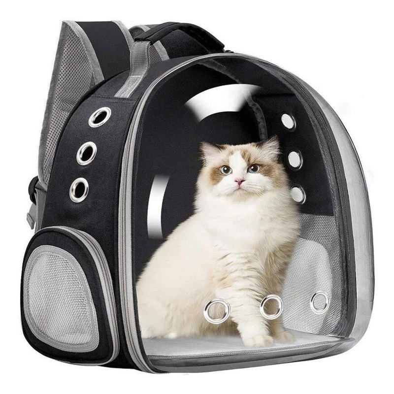 Bolsa Gato Cachorro Transparente Transporte Mochila petshop em oferta na Shopee Bolsa Gato Cachorro Transparente Transporte Mochila petshop