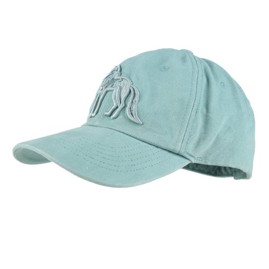Boné Acostamento Aba Curva Strapback Masculino - Verde água