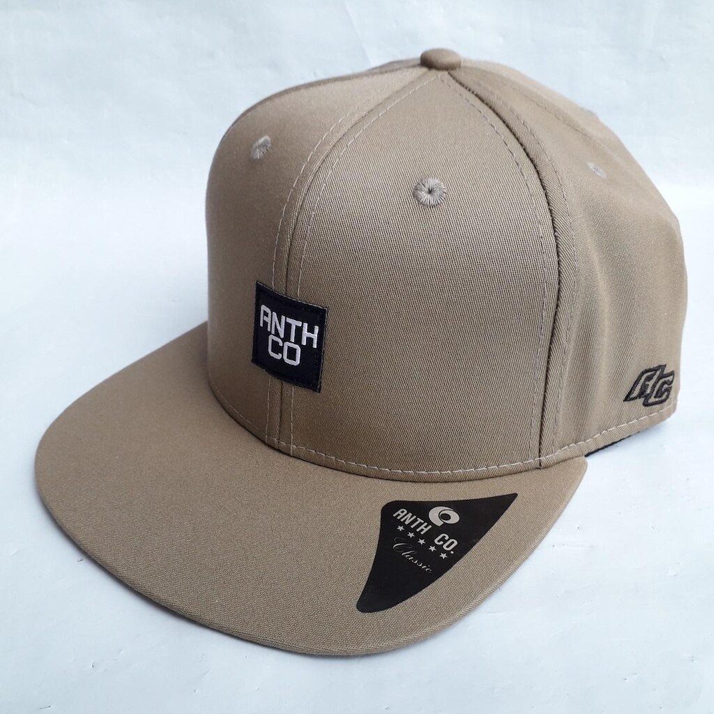 Boné Anth Co Fox Skate Aba Reta Bordado Strapback Fitão