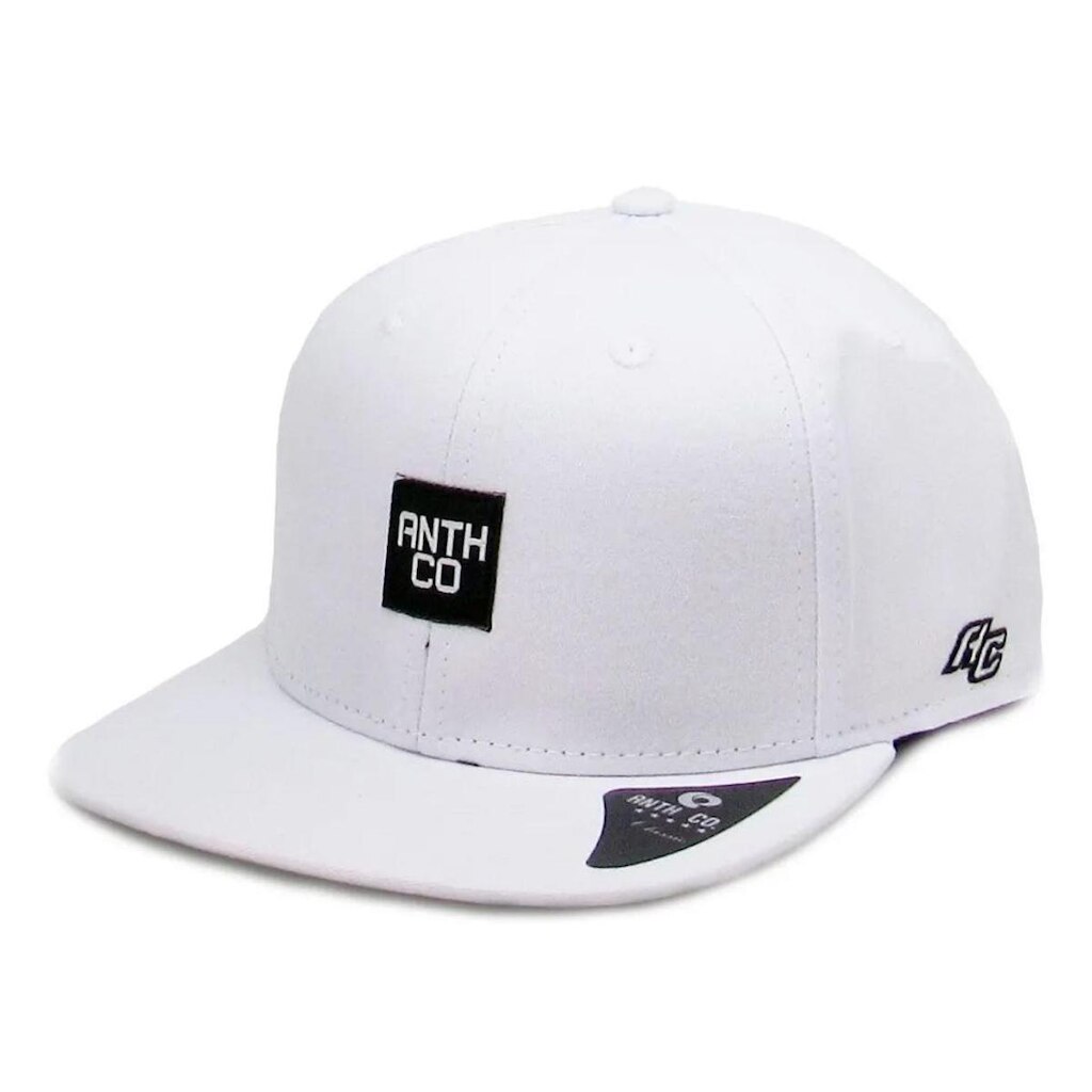 Boné Anth Co Fox Skate Aba Reta Bordado Strapback Fitão