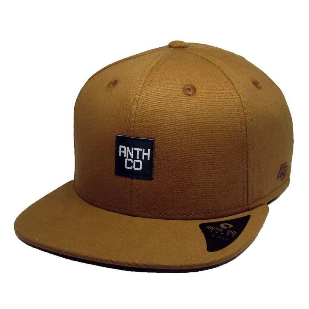 Boné Anth Co Fox Skate Aba Reta Bordado Strapback Fitão