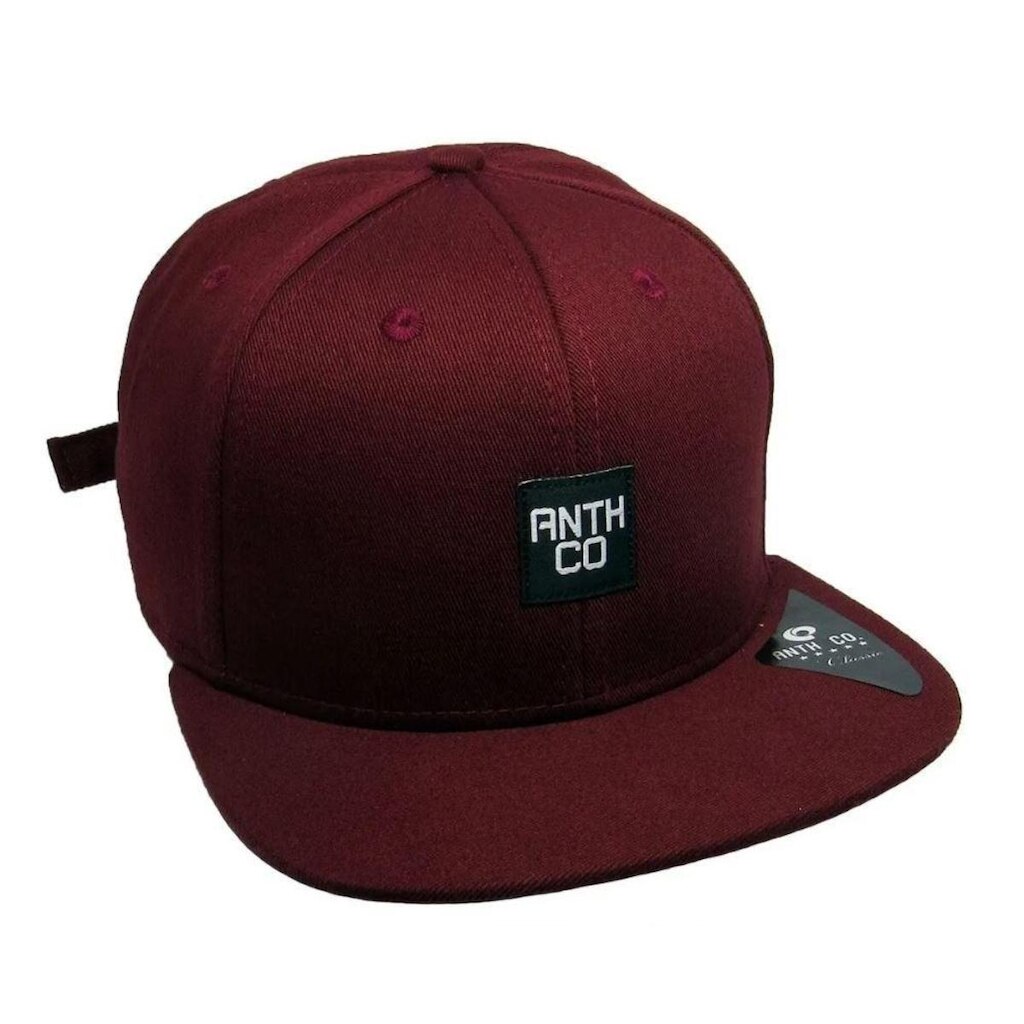 Boné Anth Co Fox Skate Aba Reta Bordado Strapback Fitão