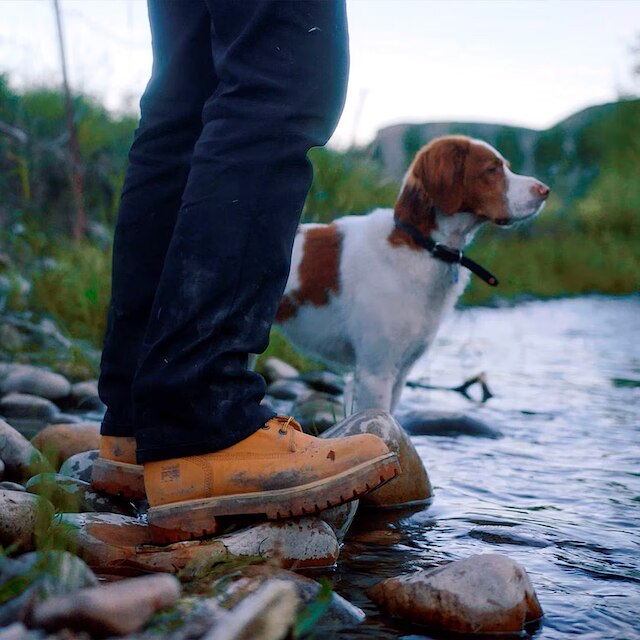Bota Couro Timberland Boot Direct Attach 6 Pro