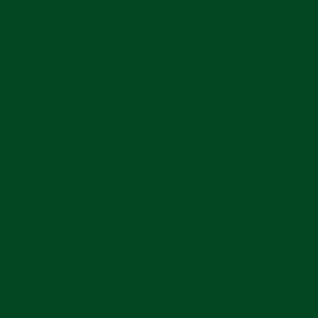 Calça Casual Palmeiras 2024