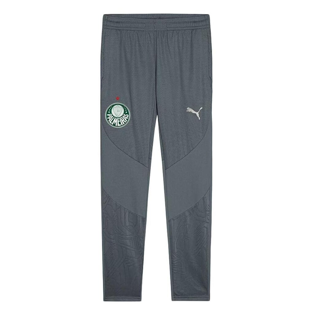 Calça De Goleiro Puma Palmeiras Treino 2025 Masculina
