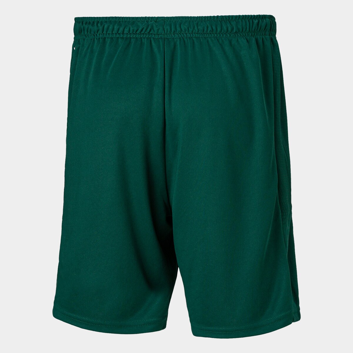 bermuda palmeiras puma
