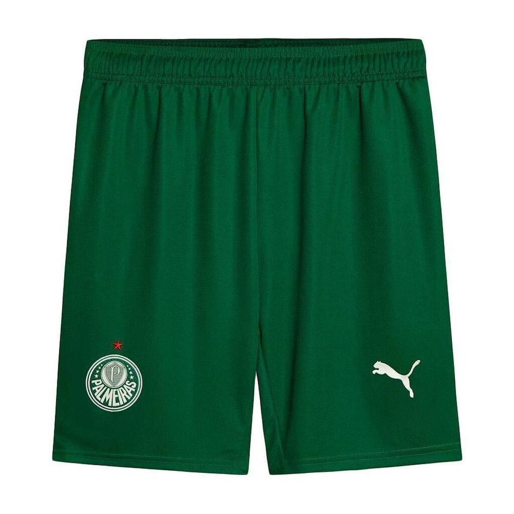 Calção Puma Palmeiras Ii 2025 Masculino - Torcedor