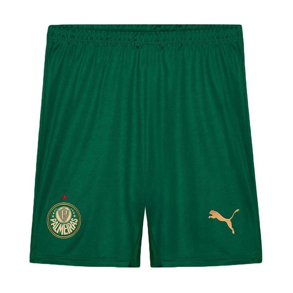 Calção Puma Palmeiras Iii 2024 Masculino - Torcedor