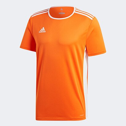 entrada 12 adidas