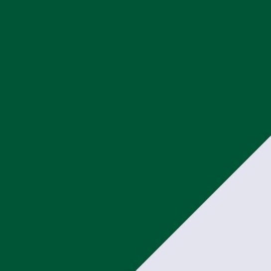 Camisa Palmeiras 1 HOME Torcedor Feminina 24/25