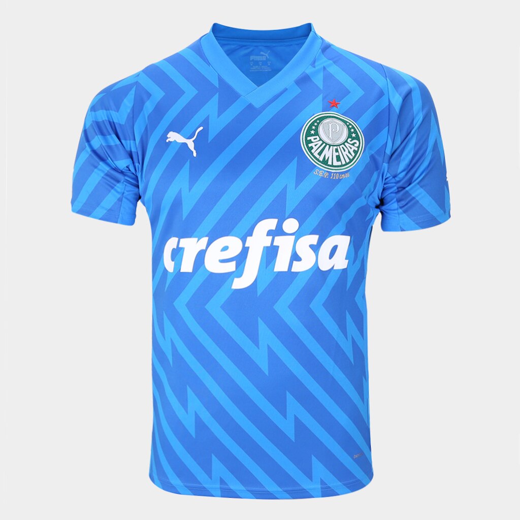 Camisa Palmeiras I 24/25 s/n° Goleiro Puma Masculina