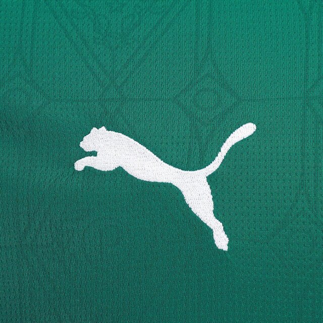 Camisa Palmeiras I 25/26 s/n Torcedor Puma Masculina