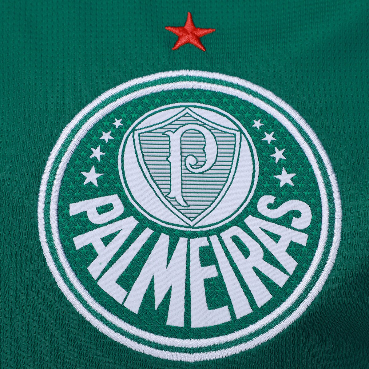 Camisa Palmeiras I 26/27  Torcedor Puma Masculina - Verde 3