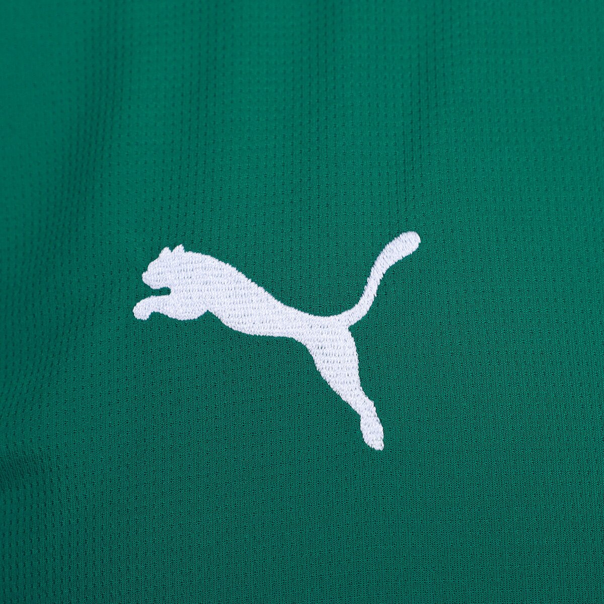 Camisa Palmeiras I 26/27  Torcedor Puma Masculina - Verde 4