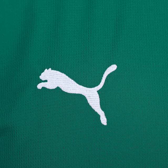Camisa Palmeiras I 26/27 s/n Torcedor Puma Masculina