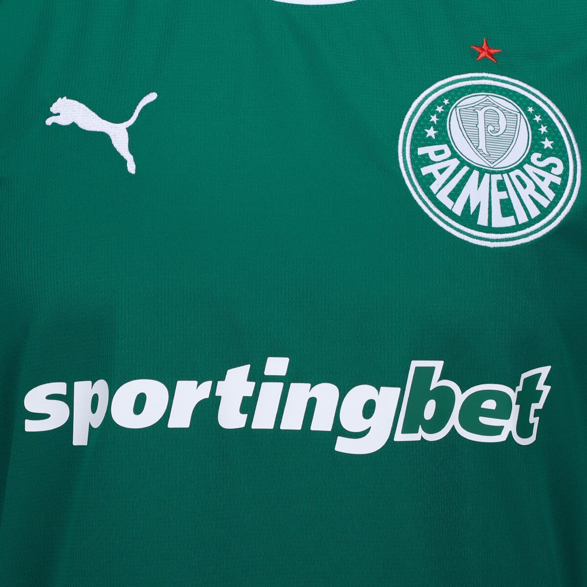 Camisa Palmeiras I 26/27  Torcedor Puma Masculina - Verde 6