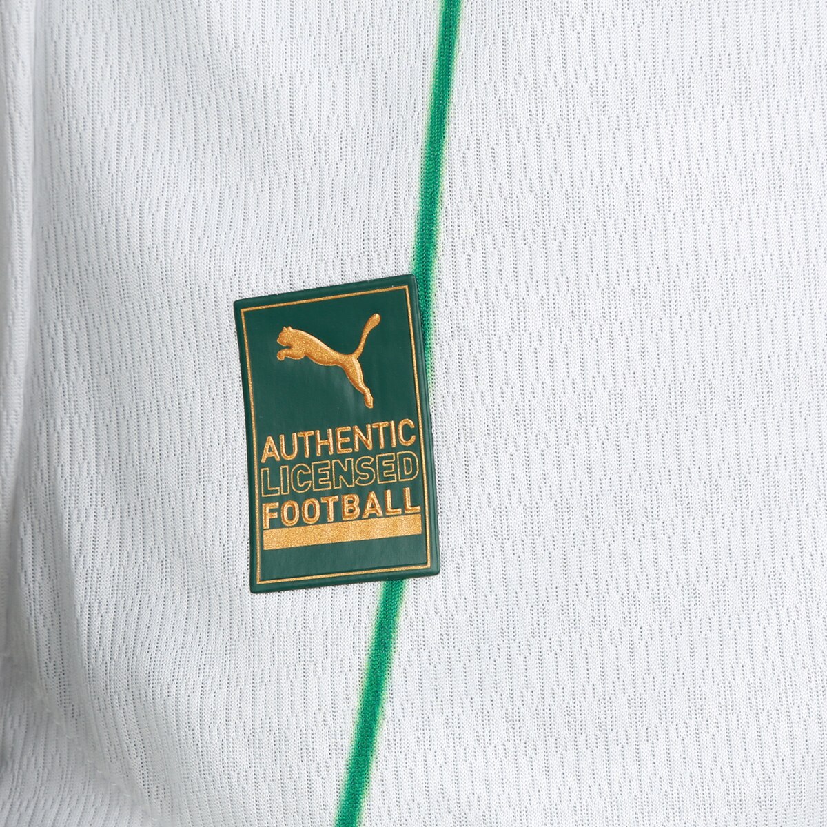 Camisa Palmeiras II 26/27 s/n Jogador Puma Masculina - 6