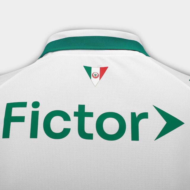 Camisa Palmeiras II 26/27 s/n Torcedor Puma Masculina