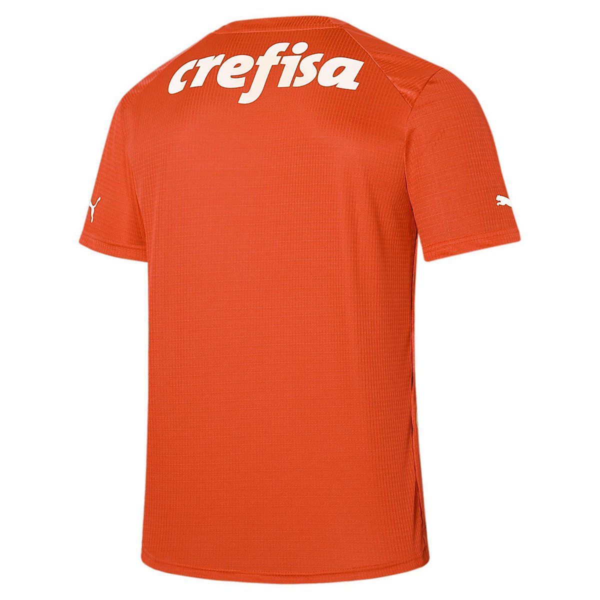 Camisa Palmeiras III 23/24 s/n° Goleiro Puma Masculina Menor preço em Camisa Palmeiras III 23/24 s/n° Goleiro Puma Masculina