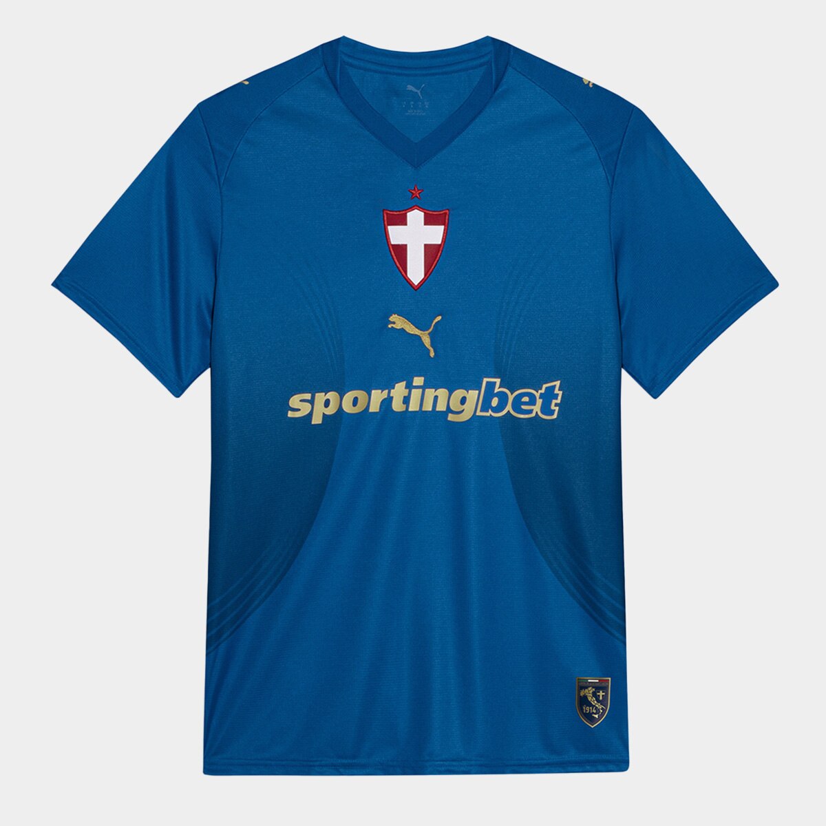 Camisa Palmeiras Iii 2627 Sn Torcedor Puma Masculina Azul Escuro