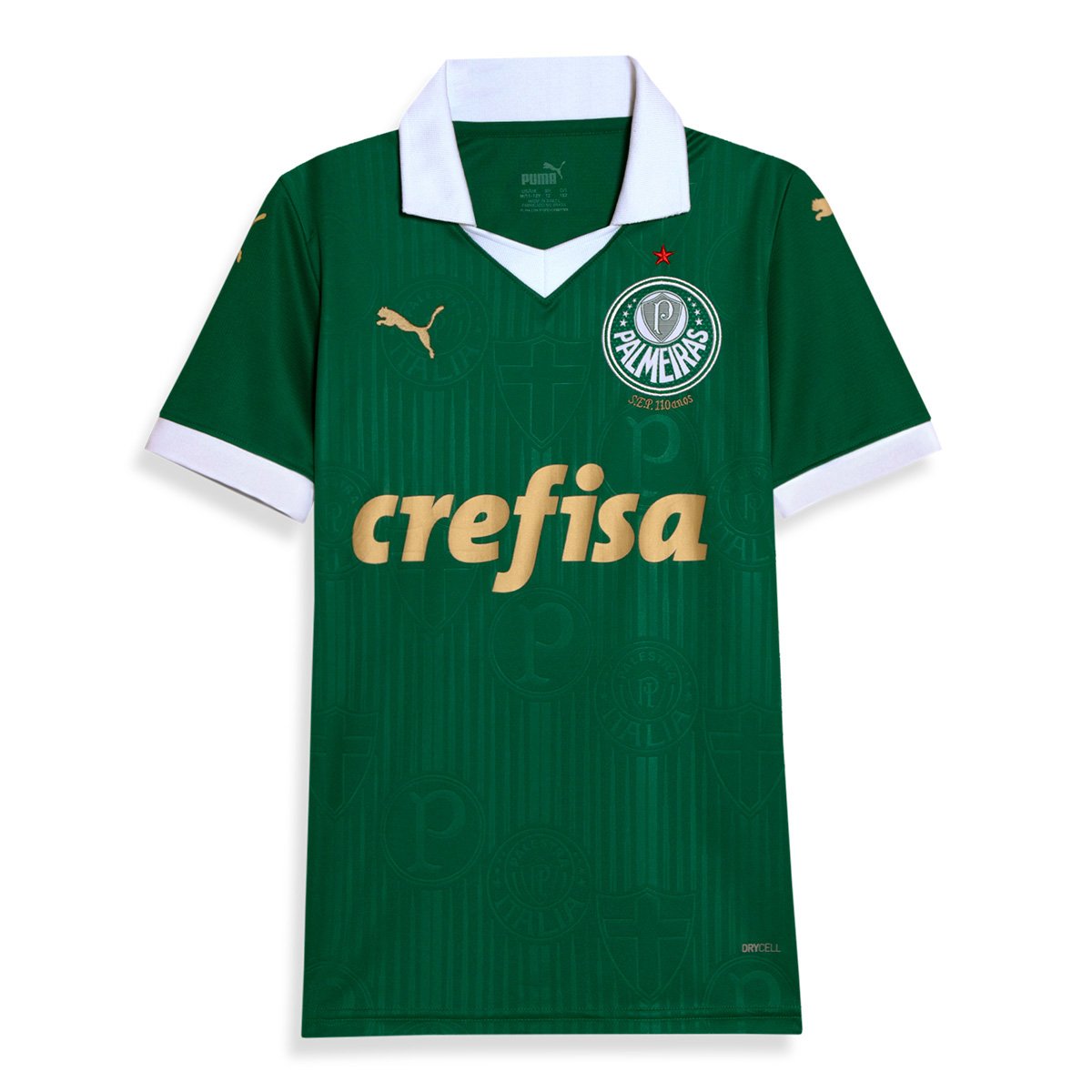 Camisa Palmeiras Infantil I 24/25 sn° Torcedor Puma Menor preço em Camisa Palmeiras Infantil I 24/25 sn° Torcedor Puma