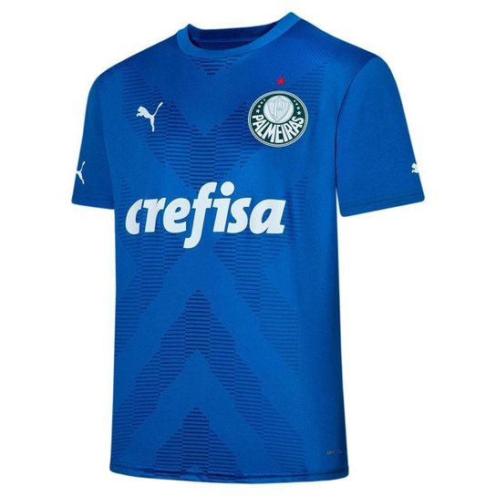 CAMISA PALMEIRAS PUMA GK I 23/24 TORC MASCULINA