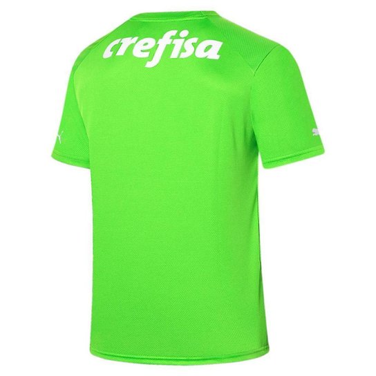 CAMISA PALMEIRAS PUMA GK II 23/24 TORC MASCULINA