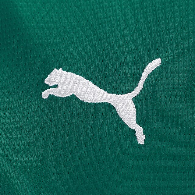 Camisa Palmeiras Puma Torcedor I 25/26 s/n Feminina