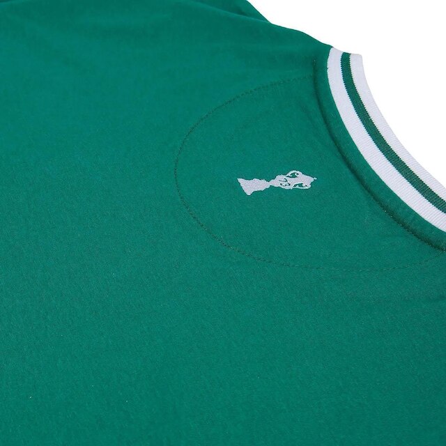 Camisa Palmeiras Retrô 1973 Infantil Juvenil