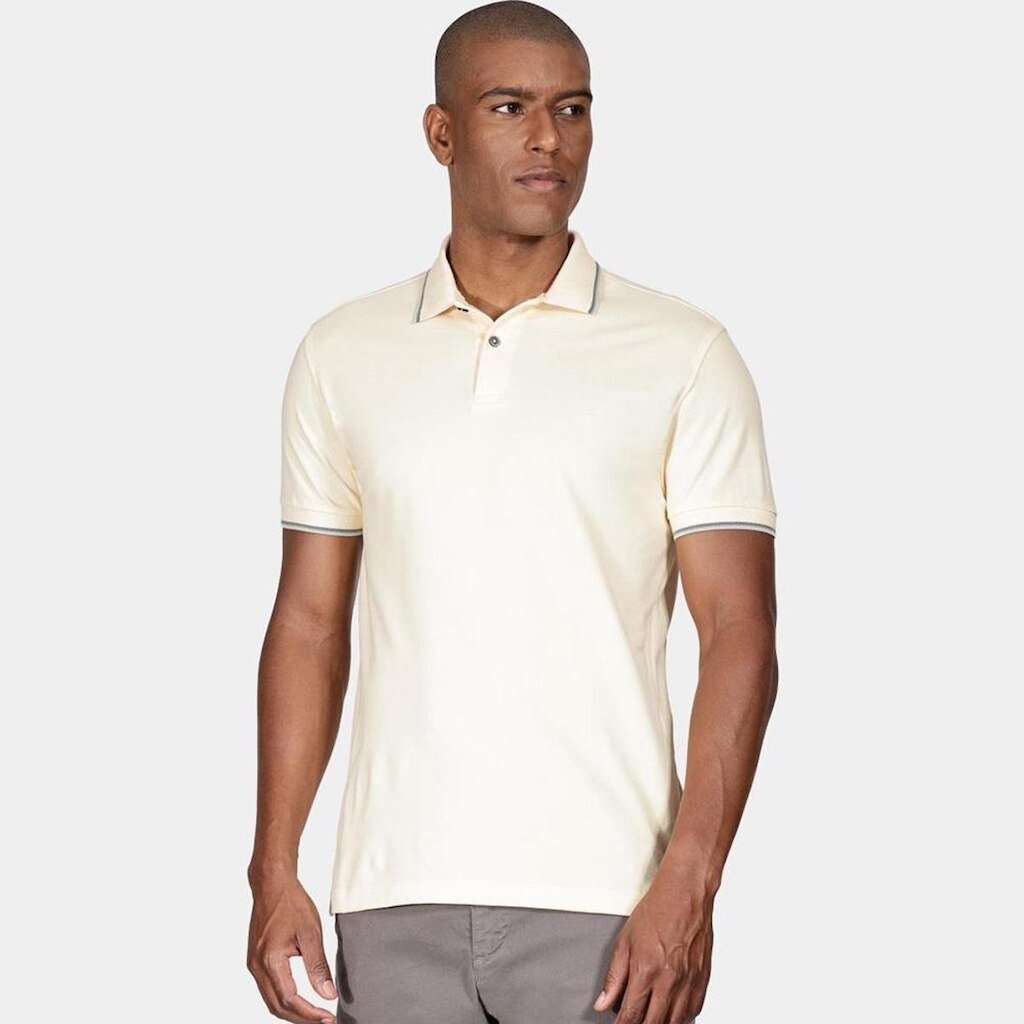 Camisa Polo Aramis Basic 4 Frisos Masculino