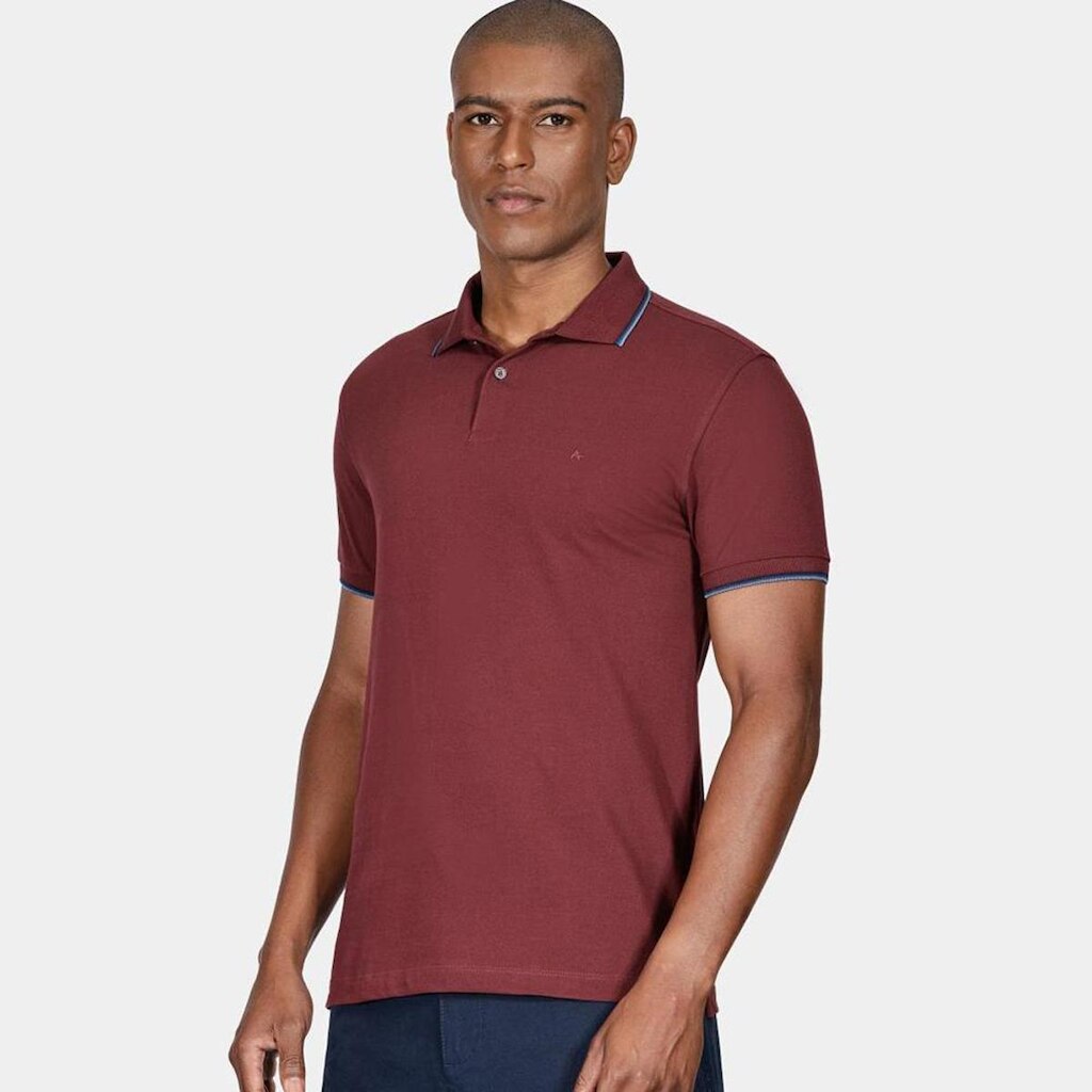 Camisa Polo Aramis Basic 4 Frisos Masculino