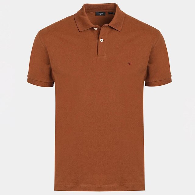 Camisa Polo Aramis Basic Piquet Masculino