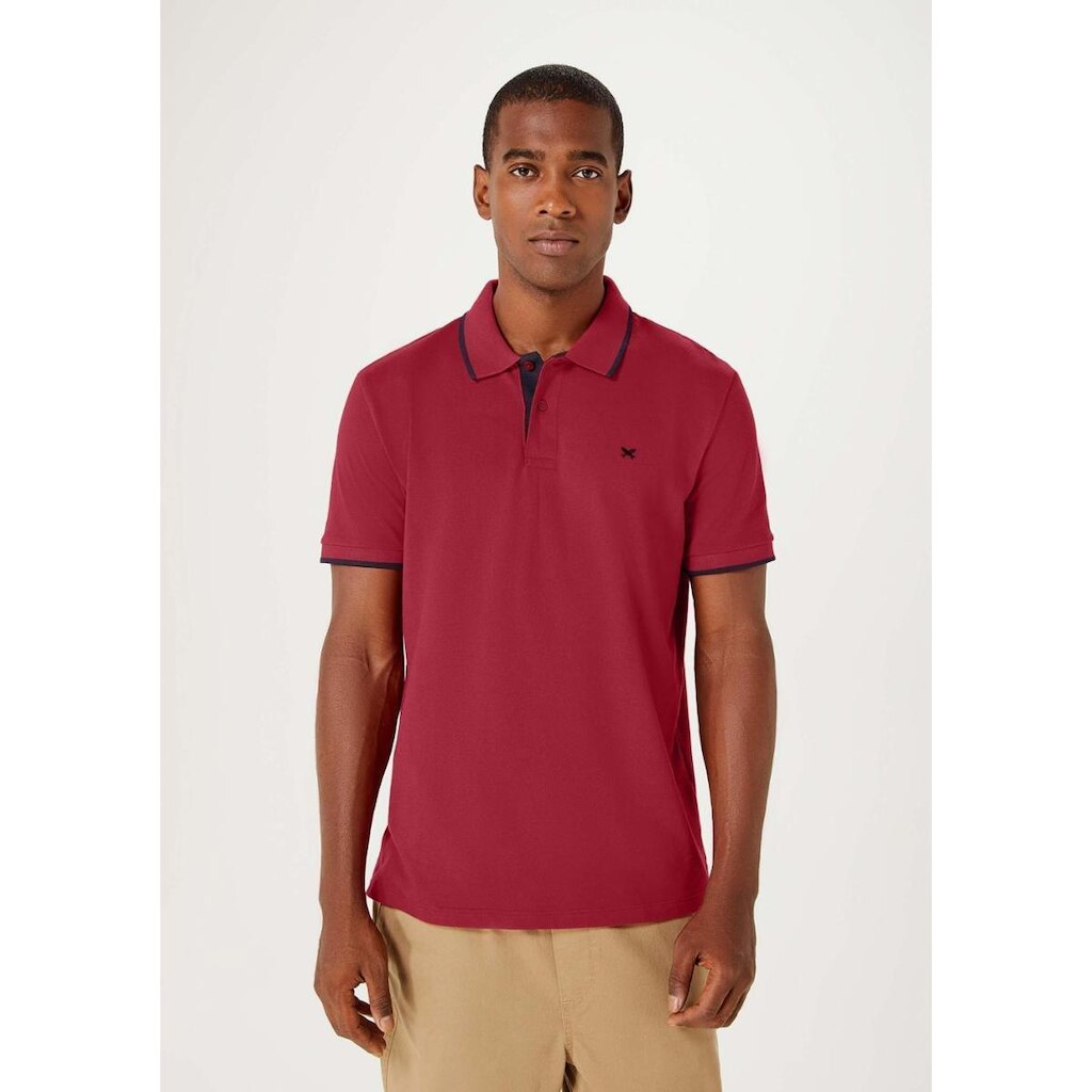 Camisa Polo Básica Masculina Em Piquet Com Bordado