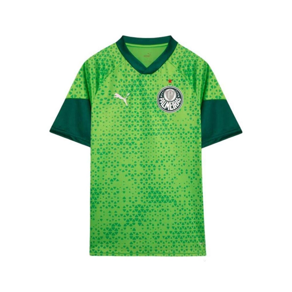 Camisa Puma Palmeiras Training Torcedor 24 Masculina