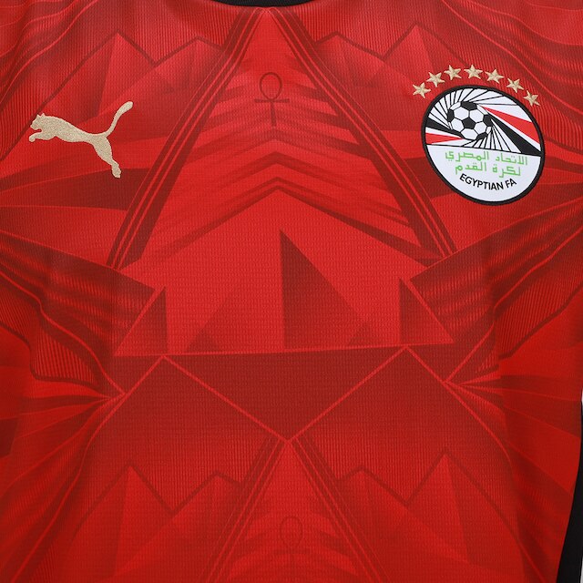 Camisa Seleção Egito Home 2026 Torcedor Puma Masculina