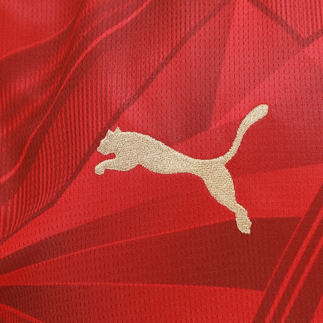 Camisa Seleção Egito Home 2026 Torcedor Puma Masculina