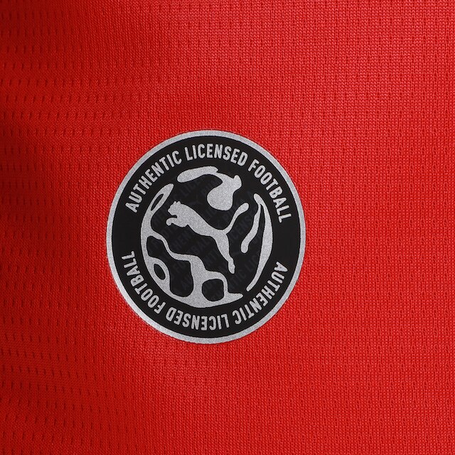 Camisa Seleção Egito Home 2026 Torcedor Puma Masculina