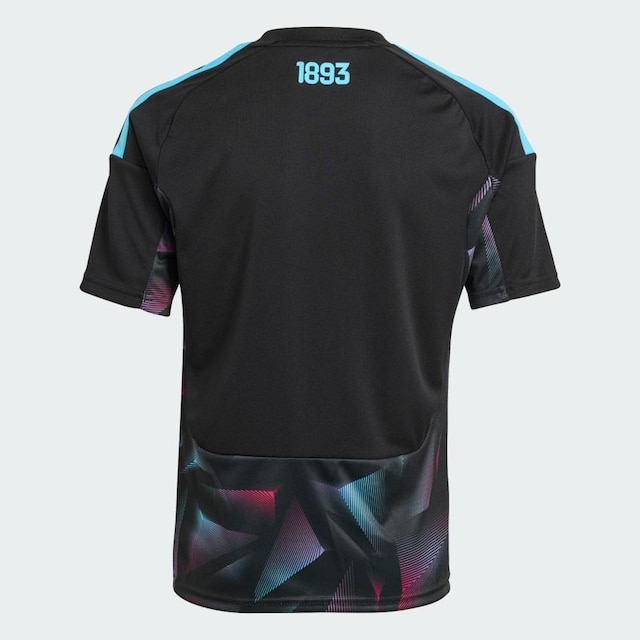 Camisa Titular de Goleiro da Seleção Argentina 26 Adidas