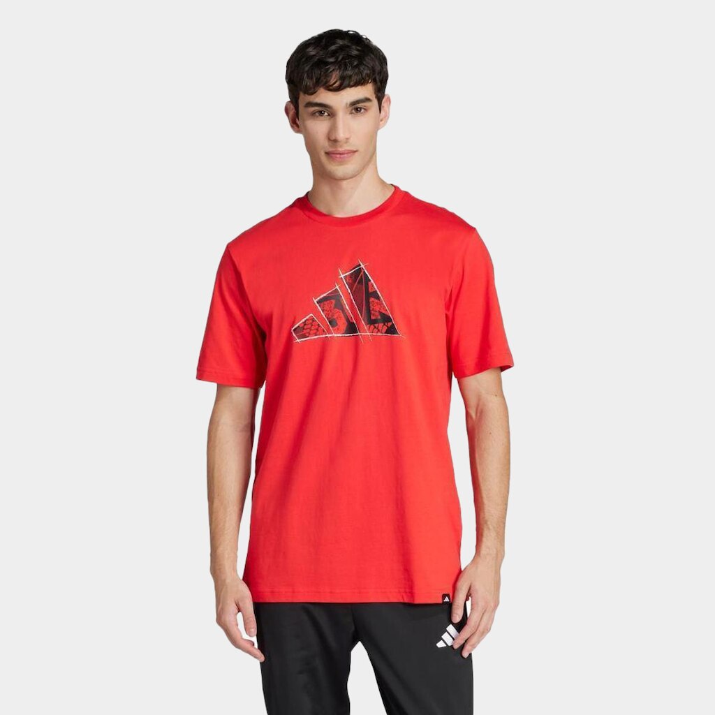 Camiseta Adidas Gráfica Masculina