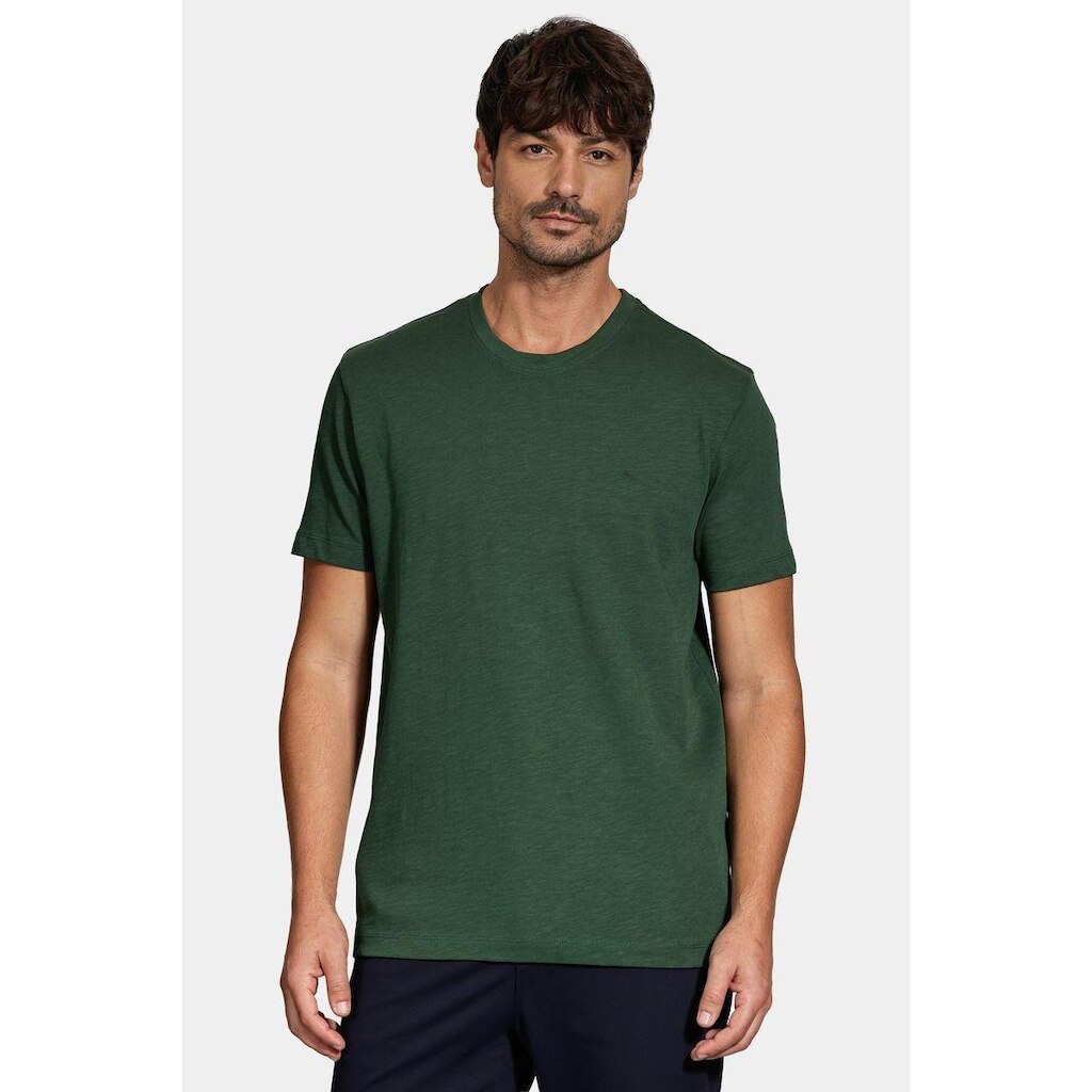 Camiseta Aramis Manga Curta Algodão Flamê