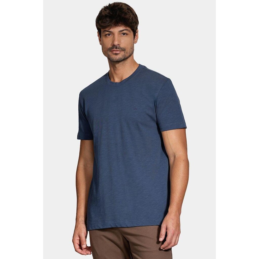 Camiseta Aramis Manga Curta Algodão Flamê
