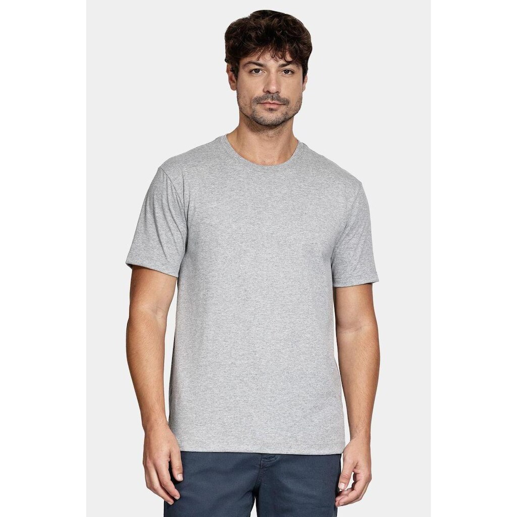 Camiseta Aramis Manga Curta Bordado Basica Cinza Mescla