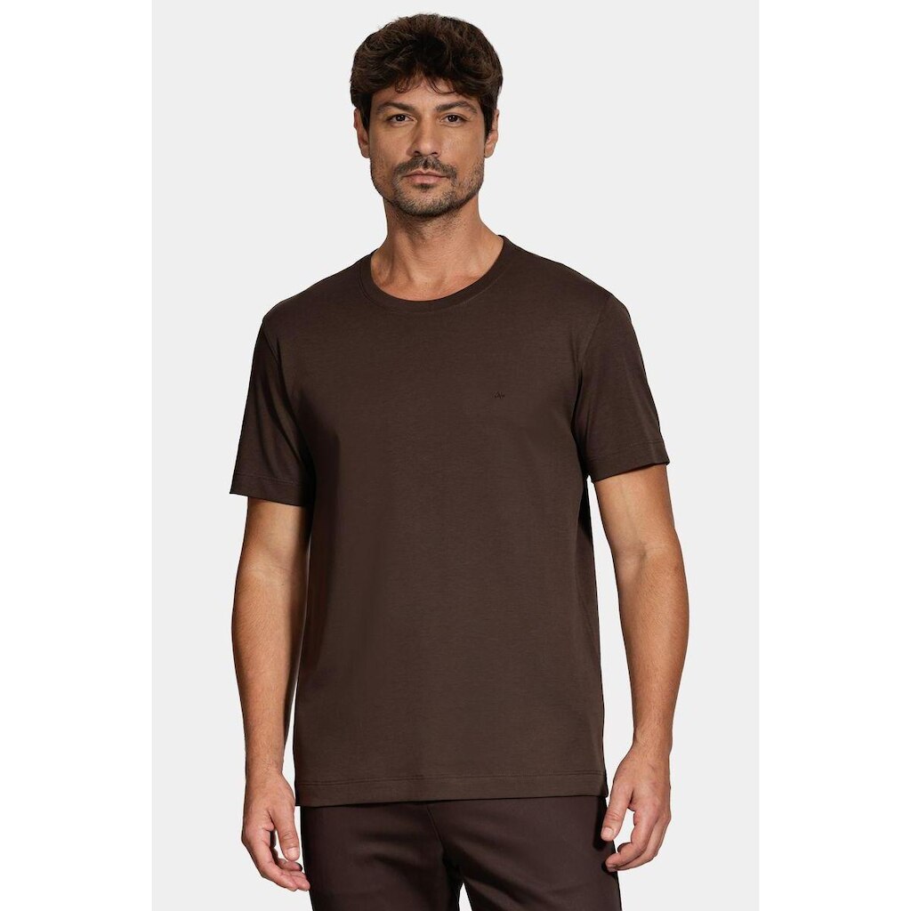 Camiseta Aramis Manga Curta Interlock